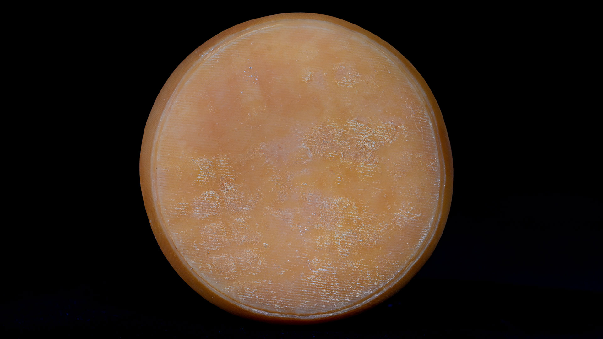 trappe timadeuc cellier des monasteres